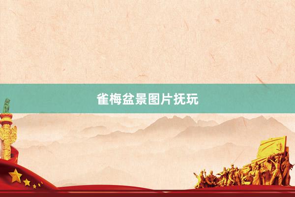 雀梅盆景图片抚玩