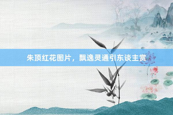 朱顶红花图片，飘逸灵通引东谈主赏